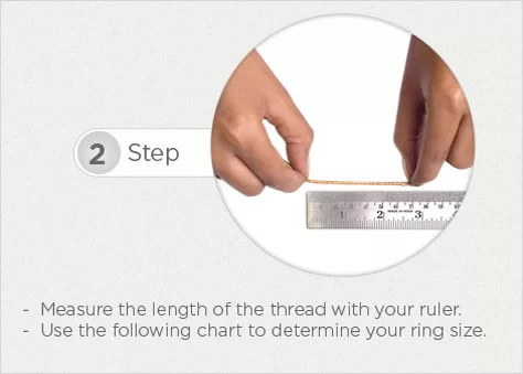 Ring Guide 2